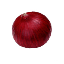 2020 crop fresh red onion with cheap price